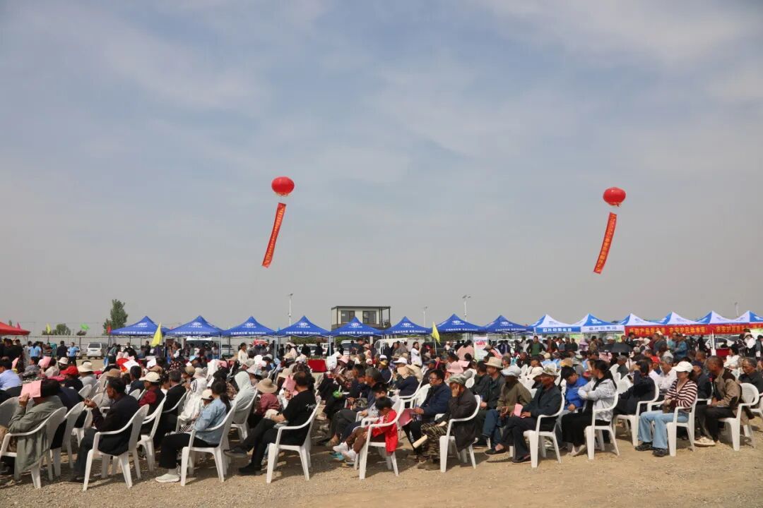 2026兰山区方城镇特色农产品展销大集暨甜瓜大赛成功举办